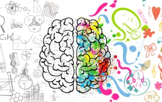 stephaniebertoldi_conference-cerveau